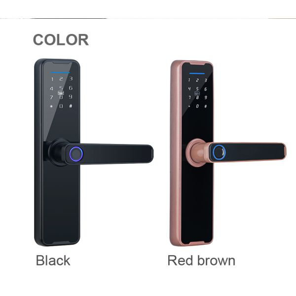 Alkaline AA Electromagnetic Lock Tuya APP Wifi Password Code Card DC6V