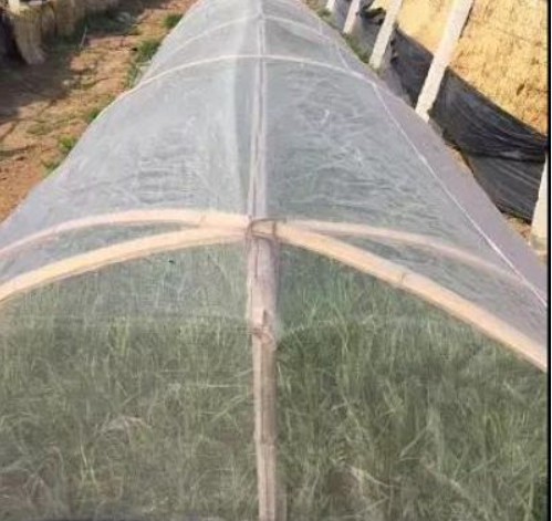 Field Vegetable Plot Barrier Garden Netting Multi Mesh Count Optional Width Or Roll Length