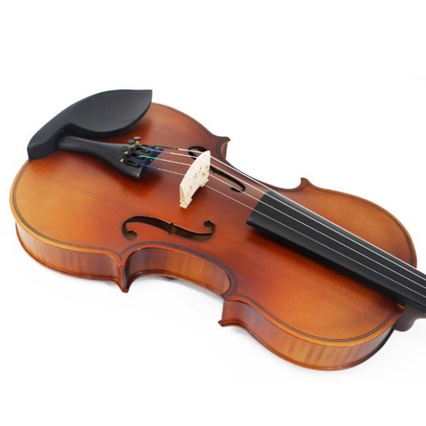 Violin china play Beethoven Violin Sonata No.5 Universal Violin Accessories Professional Use Classical Box For Violin