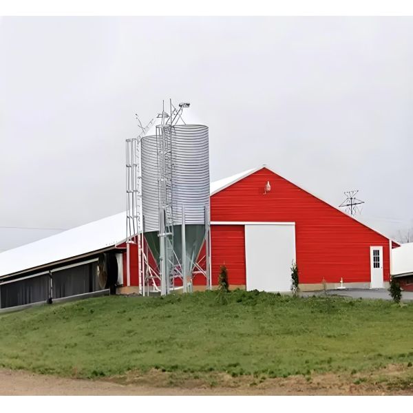Poultry Steel Frame Prefab House Automatic Broiler Chicken Farming Equipment