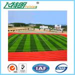 UV - Resistance Breathable Rubber Athletic Track / Jogging Track Material