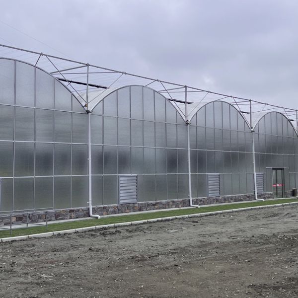 Multi Span Tunnel 8mm Polycarbonate Sheet Greenhouse For Gardening