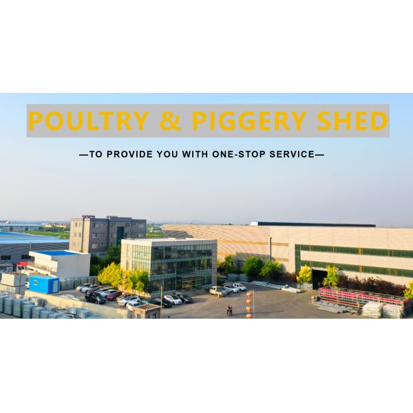 Easy Operate Poultry Farm Automatic Laying Nest PP