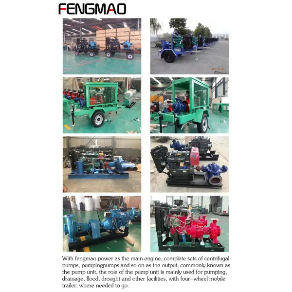 Sturdy Diesel Engine Water Pump Set Weichai Water Pump 220Volt