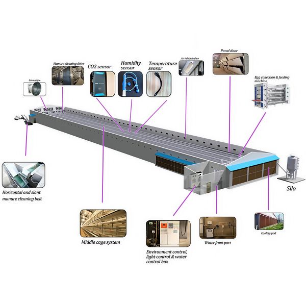 Multi-Story Prefabricated Steel Structure Office Building Commercial Office Construction