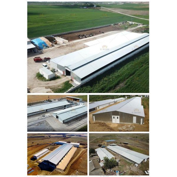 Industrial Pre Engineered Steel Frame Buildings All Steel Metal Workshop Buildings