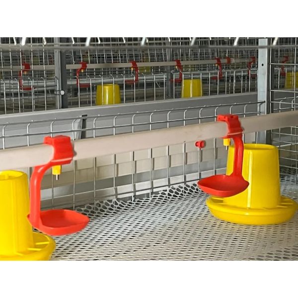 Automatic Poultry Farming Equipment with Nipple Drinkers 48VDC Dimmable Lighting and Galvanized Steel Frame
