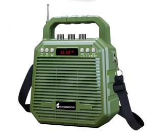 Echo Bluetooth Mic Plug Bass Portable Audio Amplifier Speaker With FM Radio