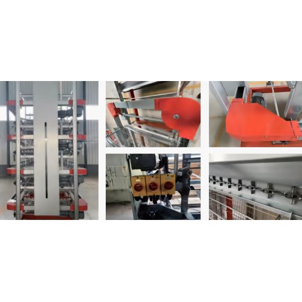 Steel Chicken Layer Cages A Type H Type Automated Battery Cage