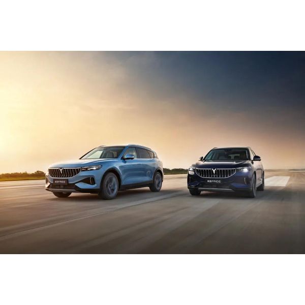 Dongfeng Voyah "free" electric SUV Wheelbase 2960MM Range 500KM