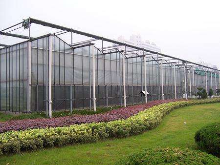 Large Size Generator Plastic Sheet Greenhouse With Project Commercial Hydroponic Systems