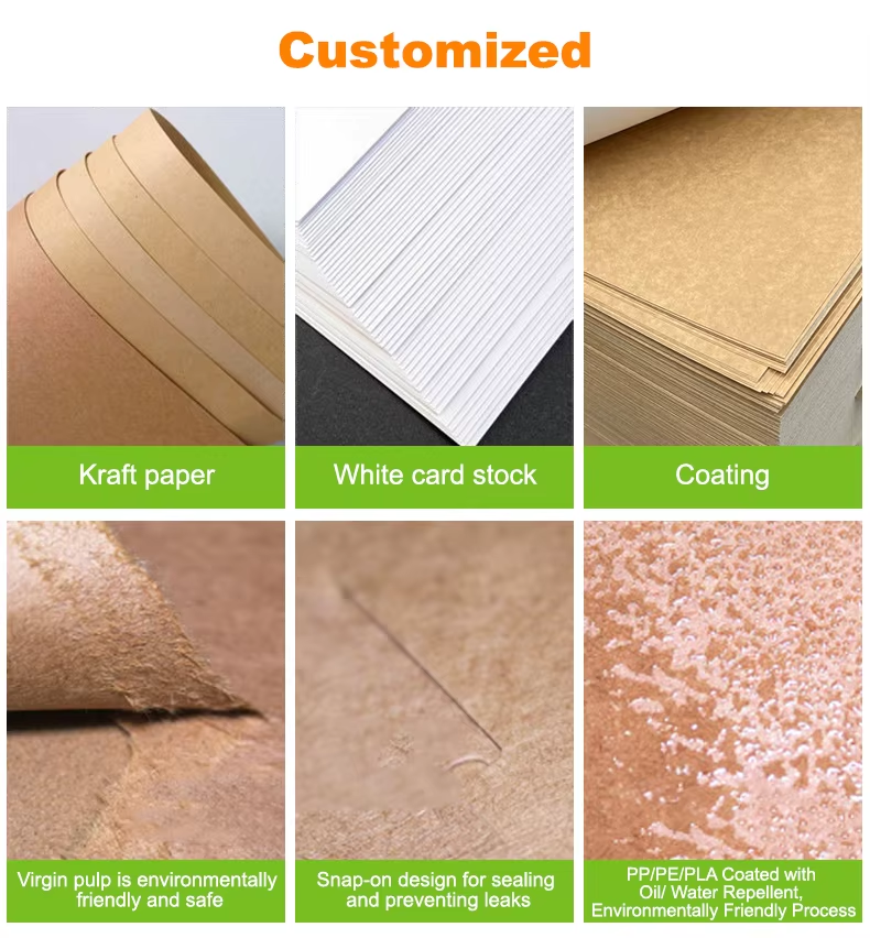 Custom Biodegradable Lunch Box Sustainable Sushi Burger Salad Packaging Solution