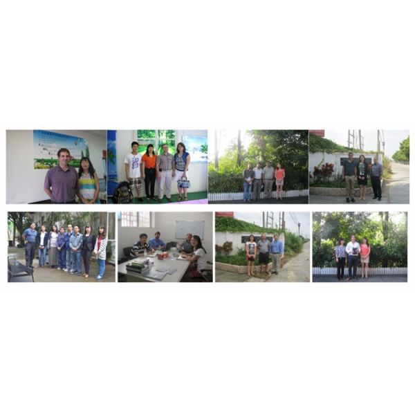 6ft Heavy Duty Outdoor Metal Benches With Powder Coating Finish