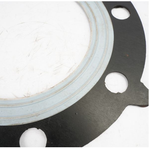 Valve Rubber Gasket Corrosion Resistant Rubber PTFE Composite Diaphragm