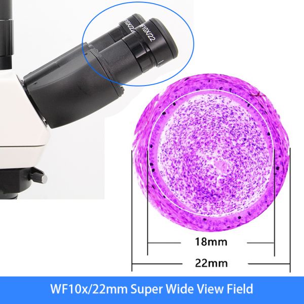 Opto-Edu A31.1062 WIFI Digital 5.0M Binocular Laboratory Microscope