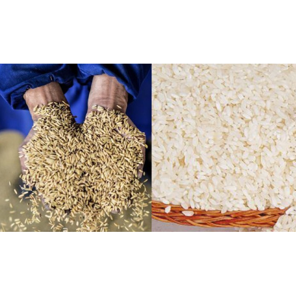 Mini Mist Polisher/The Good Price Of Rice Polishing Machine