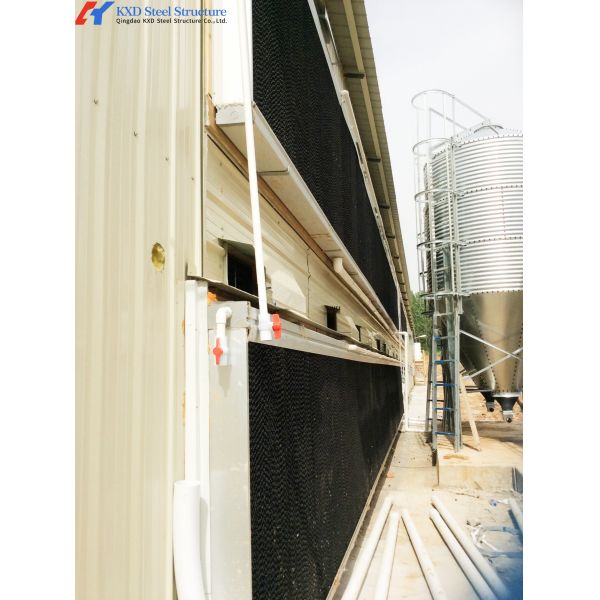Modern Piggery House Steel Structure Metal Cattle Shed Customized Dimension