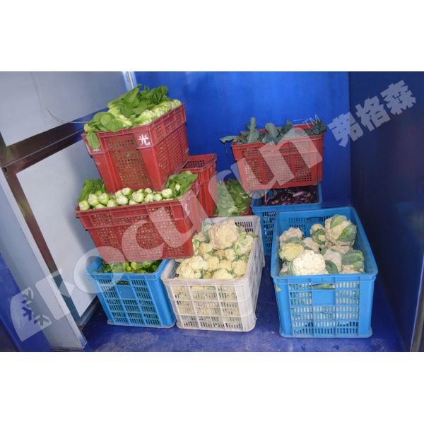 Leafy Vegetables Vacuum Cooler Bock Compressor -5C 5C Temperature Fast Cooling Machine