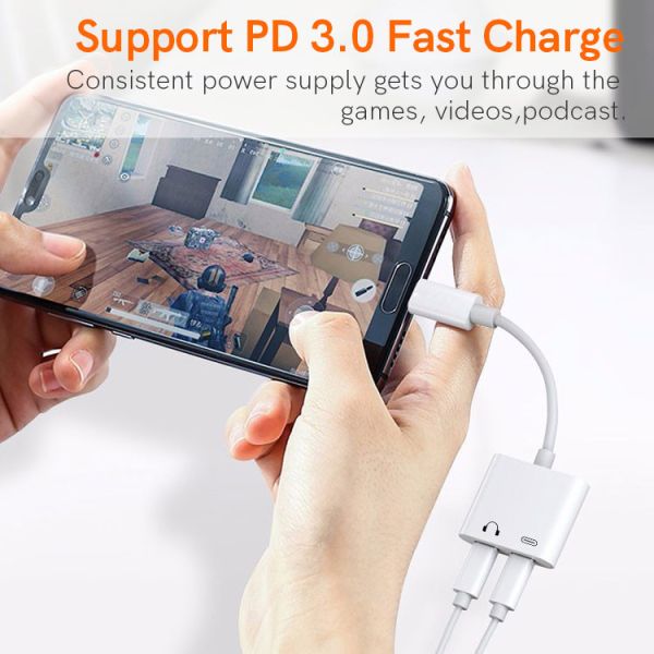 10000 Times Type C To Type C Adapter ROHS Type C OTG Hub