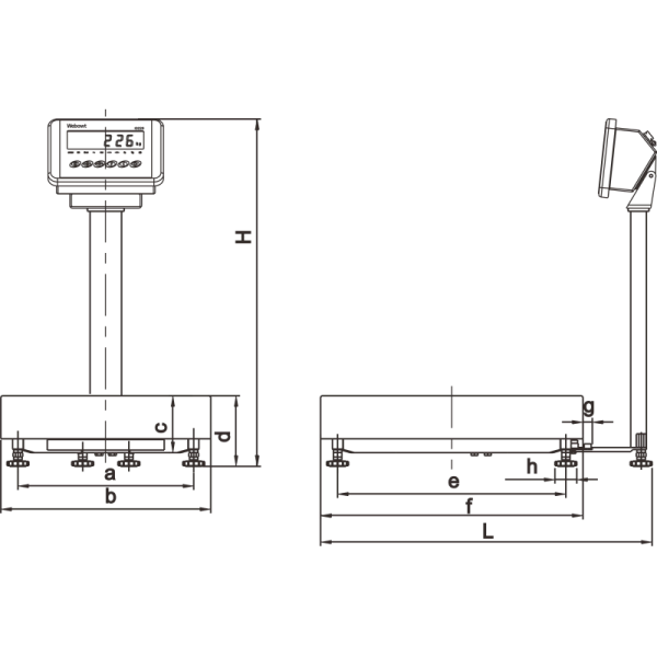 High Precision Platform Weighing Scale All Stainless Steel Structure