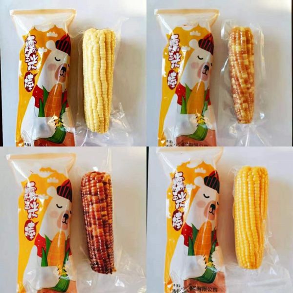 Stick Grains Fresh Sweet Corn Cutting on the Cob