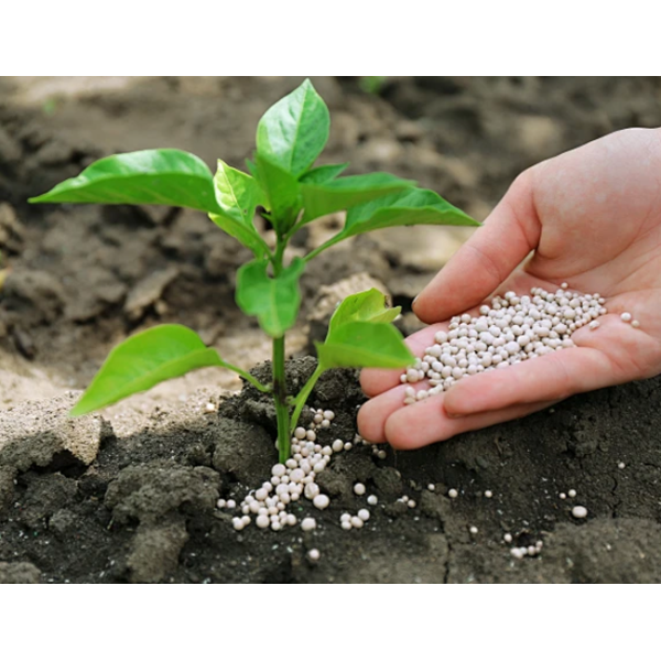 Water Soluble NPK Compound Fertilizer Rapid Nutrient Release