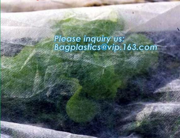Non-Woven Vegetation Antifreeze Plant Drawstring Shrub Cold Jacket Garden Protection Bag Winter Tree Protective Cover