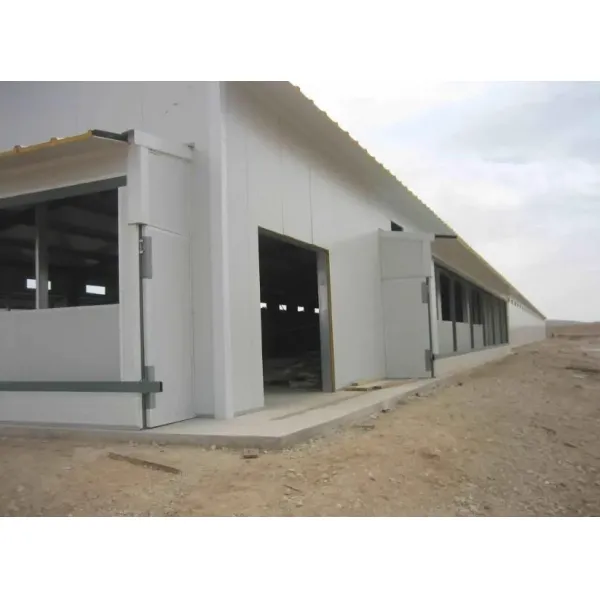 Automatic Metal Cage Steel Structure Broiler Chicken Poultry House