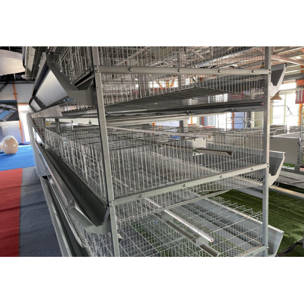 Turnkey Layer Cage Systems with High-Density Efficiency Superior Automation Integration and Optimized Natural Ventilation