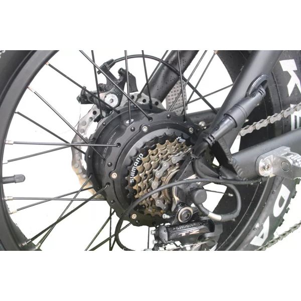 Disc Brake Electric Bike 2022 Version Snow Beach Fast Speed Customized E Bicycle 2 Seats