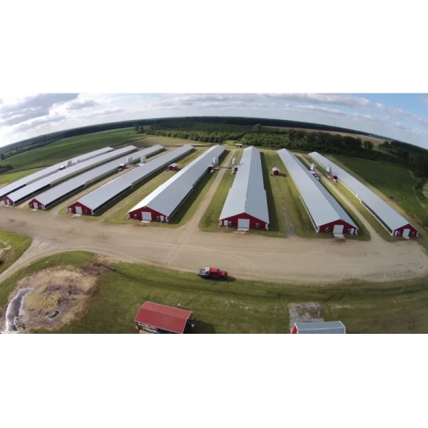 Insulation Panel Prefab Steel Structure Metal Breeding Poultry Chicken House