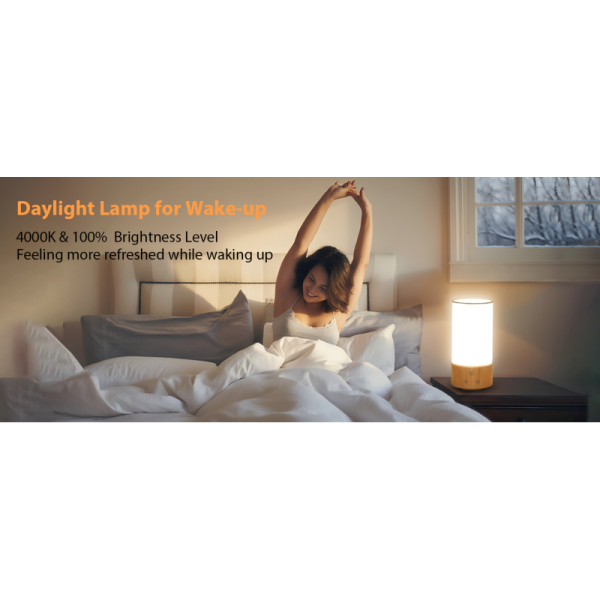 Customizable 10000 Lux Light Therapy Lamp with 100V-240V Input for SAD Mood Lighting