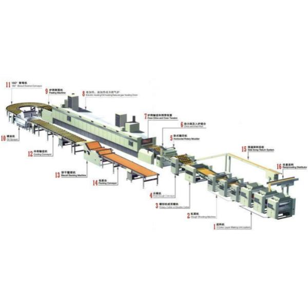 Cookie Biscuit Production Line Packaging Conveyor Systems Long Service Life