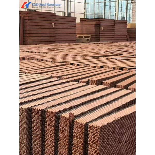 Fast Build Steel Structure Poultry Shed Construction Customized
