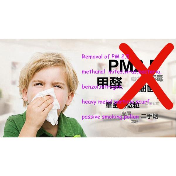 Air Purifier with HEPA filter home air purifier Removal of formaldehyde Air Filter