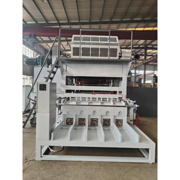 WANYOU Professional Full Automatic Pulp Molding Egg Tray Machine PLC Controlled Hot Pressing 380V 25-50KW 5000pcs/h
