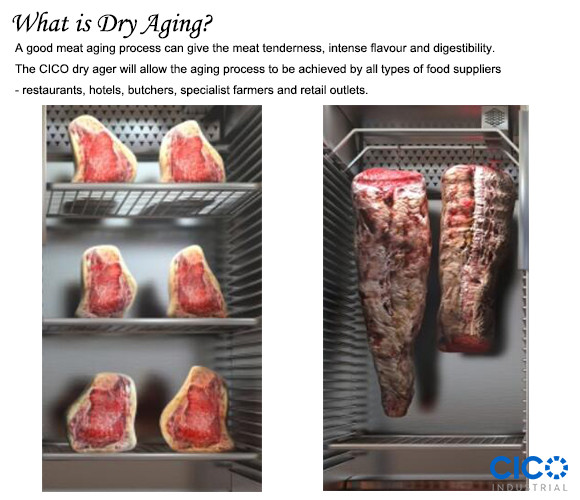 Hotel Dry Age Display Drying Equipment DA-460A Temperature Control With LED Display