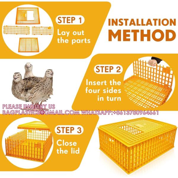 Poultry Carrier Crate Chicken Transport Cage Bird Chicken Carrier Travel Crate Basket Box