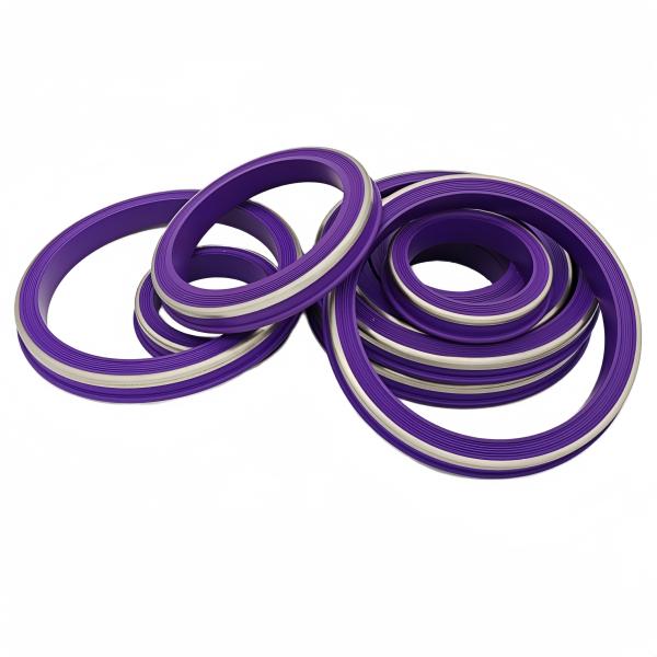 1'' 2'' 3'' 4'' Nitrile HNBR FKM PTFE Weco With Brass And Stainless Purple Rubber Hammer Union Seals