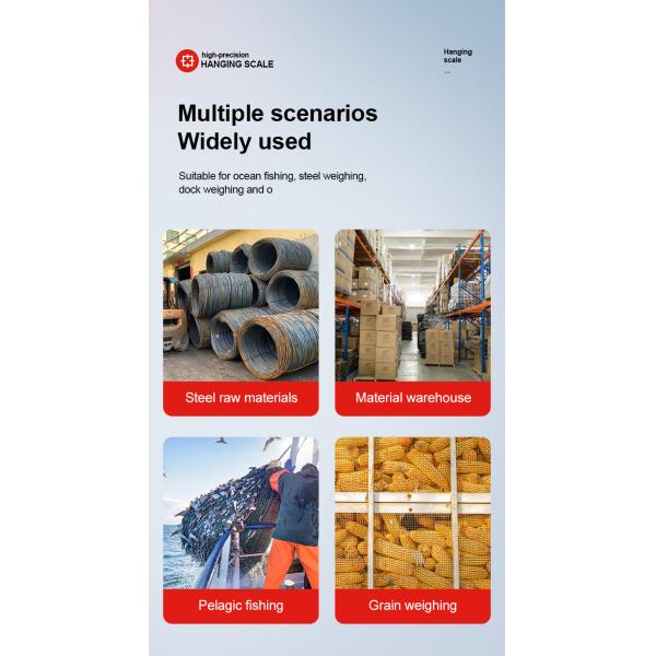 LCD Display Portable Digital Crane Scale 300 kg Scale With Hooks for Farm Hunting Fishing Outdoor Mini Gram Scale