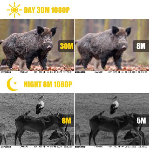 940nm LEDS Infrared Wildlife Camera Programmable LCD Display