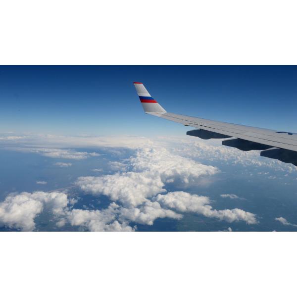 Warm White Airplane Wing Light Bulb Halogen Incandescent Light Bulb