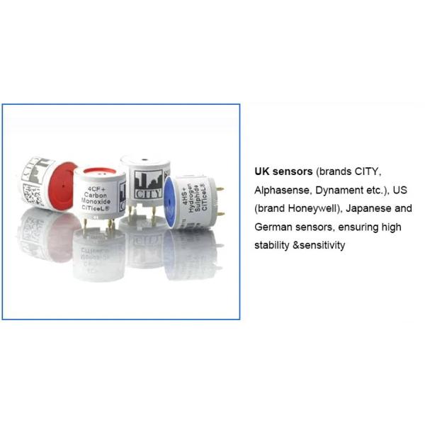 UL Approved High-Sensitivity Fixed CH4 Gas Leak Detector with LCD Display