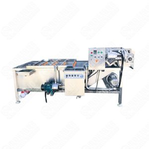 China Factory Food Industry T Washing Vegetable Washer Machine Dezhou on sale