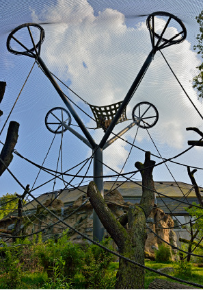 Stainless Steel Wire Rope Mesh For Cable Mesh Zoo Fence / Plant Climbing Forest Net