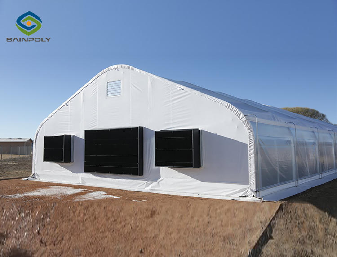 Electrical Control Mushroom Growing Greenhouse With Hot Galvanizing Pipe Structure