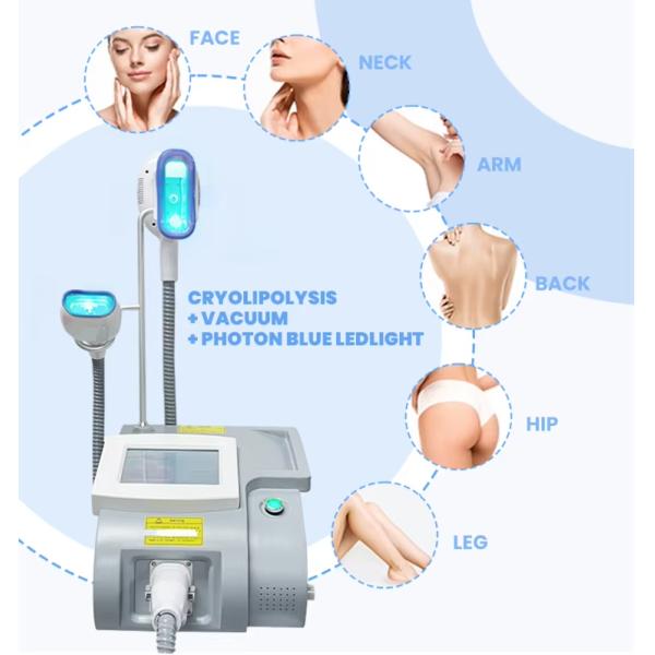 3 Handles Cryolipoliyse Fat Freezing Machine For Double Chine And Body Slimming