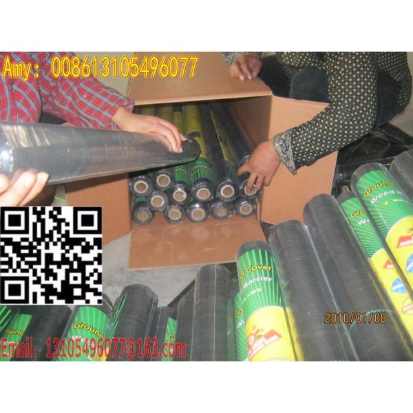 2016 High Quality Home Garden /weed barrier PP Woven Ground Cover Fabric