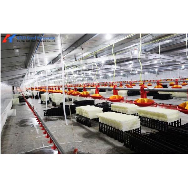 Size Customized Steel Poultry House Broiler Poultry Shed With Automatic Equipment