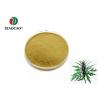 Leonurus Cardiaca Motherwort Extract Herba Leonuri Powder , Freeze Dried Greens Powder for sale